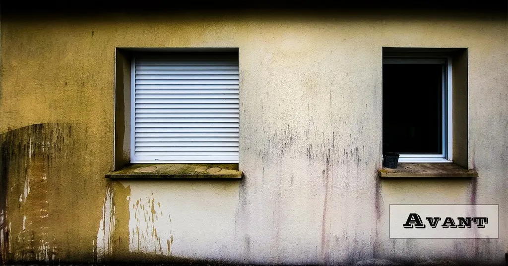 démoussage de façade à la vapeur